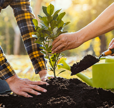 Environmental Conservation